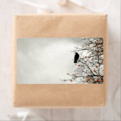 Herbst-Crow (Insitu)