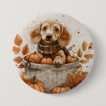 Herbst Dackel Hunde Pumpkin