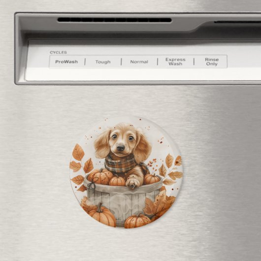 Herbst Dackel Hunde Pumpkin Magnet (In Situ (Geschirrspüler))