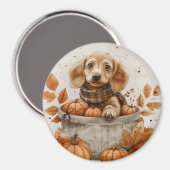 Herbst Dackel Hunde Pumpkin Magnet (Vorderseite/Rückseite)