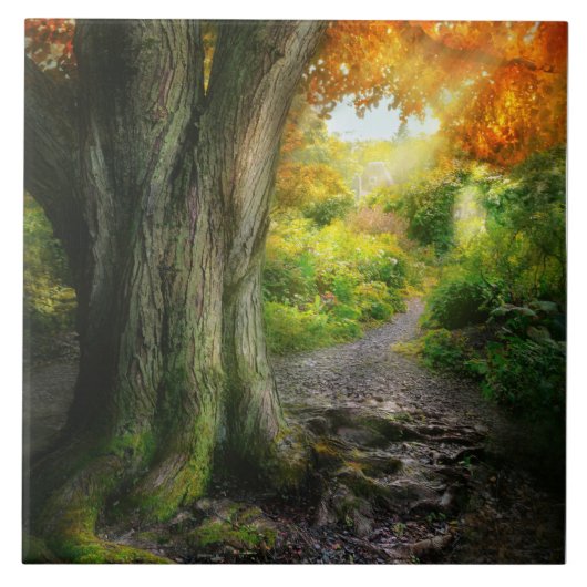 Herbst - Der Weg zum Grannenhaus Fliese (Vorderseite)