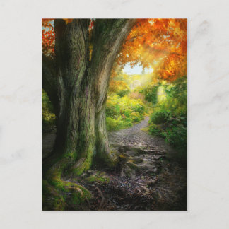 Herbst - Der Weg zum Grannenhaus Postkarte