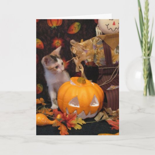 Herbst - Die Halloween-Kitten-Grußkarte Karte (Vorderseite)