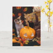 Herbst - Die Halloween-Kitten-Grußkarte Karte (Gelbe Blume)