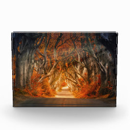 Herbst durch den Dickicht Fotoblock