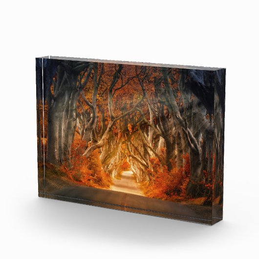 Herbst durch den Dickicht Fotoblock (Rechts)