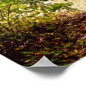 Herbst durch den Park Pond - Herbstlaube Poster (Ecke)