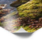 Herbst durch einen Bach im Catskill Gebirge Fotodruck (Ecke)