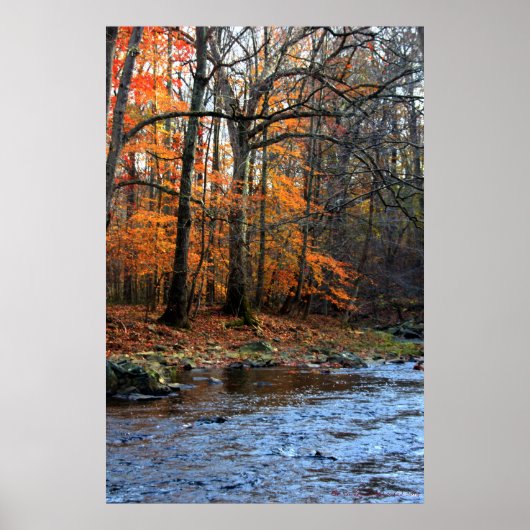 Herbst durch Stream Print #154 Poster (Vorne)