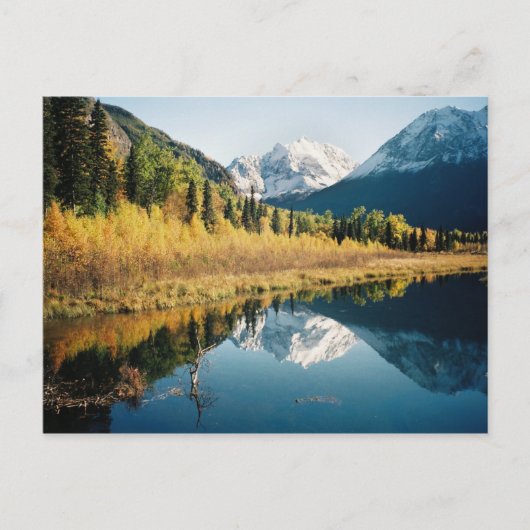 Herbst Eagle River Valley Postkarte (Vorderseite)