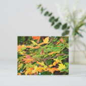 Herbst-Eichenlaub-Dankeskarten-Postkarte Feiertagspostkarte (Stehend Vorderseite)