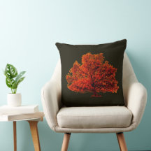Herbst, eine schöne Jahreszeit