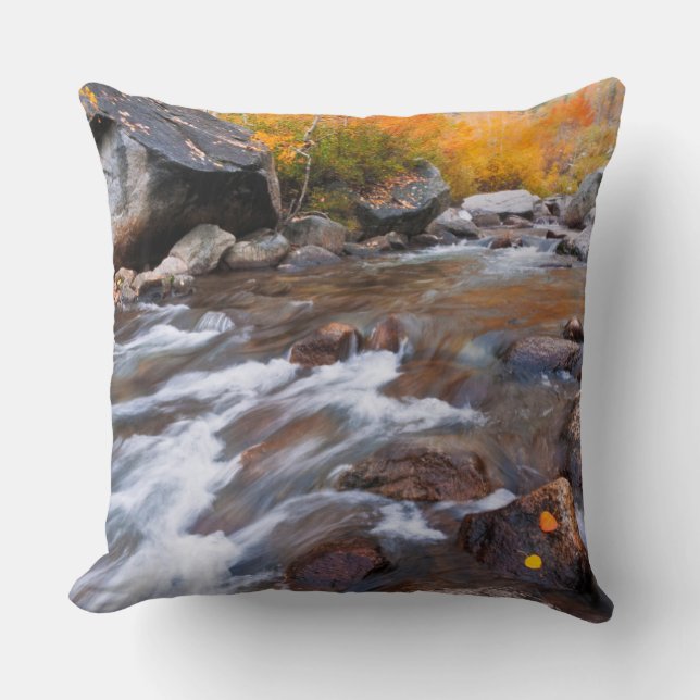 Herbst entlang Bischof Creek, CA Kissen (Vorderseite)
