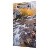 Herbst entlang Bischof Creek, CA Klemmbrett (Links)