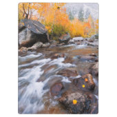 Herbst entlang Bischof Creek, CA Klemmbrett (Rückseite)