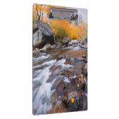 Herbst entlang Bischof Creek, CA Klemmbrett (Rechts)