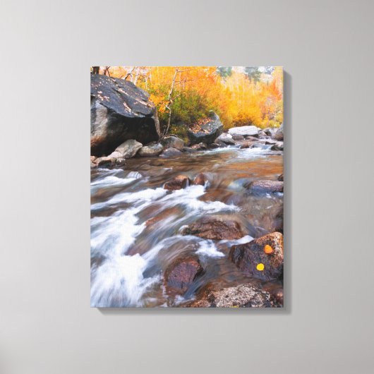 Herbst entlang Bischof Creek, CA Leinwanddruck (Vorderseite)