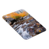 Herbst entlang Bischof Creek, CA Magnet (Rechte Seite)