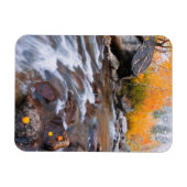 Herbst entlang Bischof Creek, CA Magnet (Horizontal)