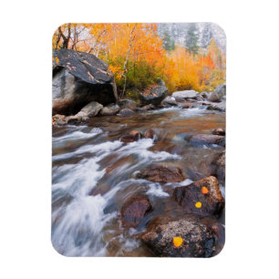 Herbst entlang Bischof Creek, CA Magnet