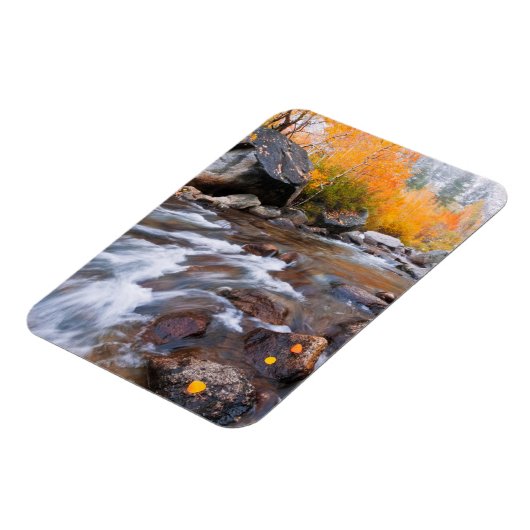 Herbst entlang Bischof Creek, CA Magnet (Linke Seite)