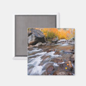 Herbst entlang Bischof Creek, CA Magnet (Vorderseite/Rückseite)