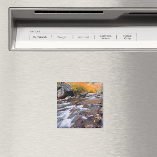 Herbst entlang Bischof Creek, CA Magnet (In Situ (Geschirrspüler))