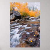 Herbst entlang Bischof Creek, CA Poster (Vorne)