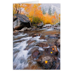 Herbst entlang Bishop Creek, CA