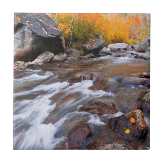 Herbst entlang Bishop Creek, CA Fliese (Vorderseite)