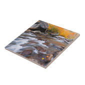 Herbst entlang Bishop Creek, CA Fliese (Seite)