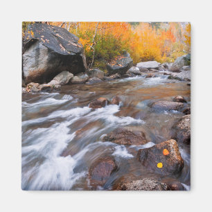 Herbst entlang Bishop Creek, CA Magnet