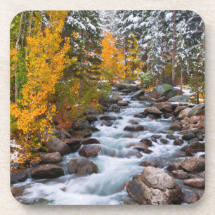 Herbst entlang Bishop Creek, Kalifornien Getränkeuntersetzer