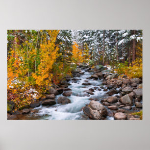 Herbst entlang Bishop Creek, Kalifornien Poster