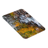 Herbst entlang der Bischofsbucht, Kalifornien Magnet (Rechte Seite)
