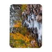 Herbst entlang der Bischofsbucht, Kalifornien Magnet (Vertikal)
