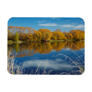 Herbst entlang des Clutha River Magnet