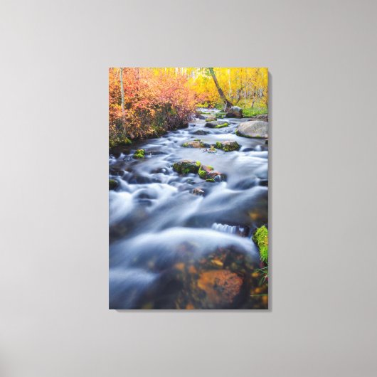 Herbst entlang Lundy Creek, Kalifornien Leinwanddruck (Vorderseite)