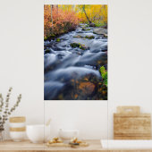 Herbst entlang Lundy Creek, Kalifornien Poster (Küche)