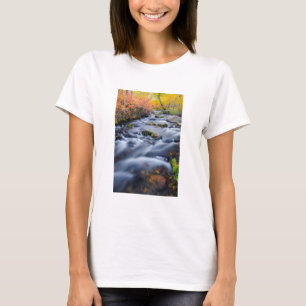 Herbst entlang Lundy Creek, Kalifornien T-Shirt