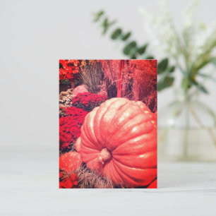 Herbst-Ernte-Postkarte Postkarte