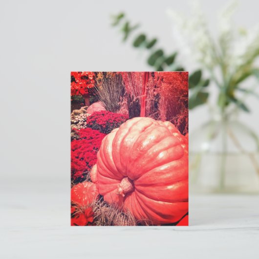 Herbst-Ernte-Postkarte Postkarte (Stehend Vorderseite)