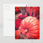 Herbst-Ernte-Postkarte Postkarte (Vorne/Hinten)