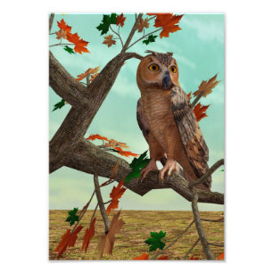 Herbst-Eulen-Ahornbaum-Wildlife-Kunst Fotodruck