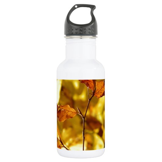 Herbst-Fall-Baum verlässt Edelstahlflasche (Vorderseite)