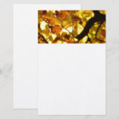 Herbst-Fall-Baum verlässt Jahreszeit-Schicksals-Na Briefpapier (Vorne/Hinten)
