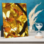 Herbst-Fall-Baum verlässt Jahreszeit-Schicksals-Na Fotoplatte (Seite)