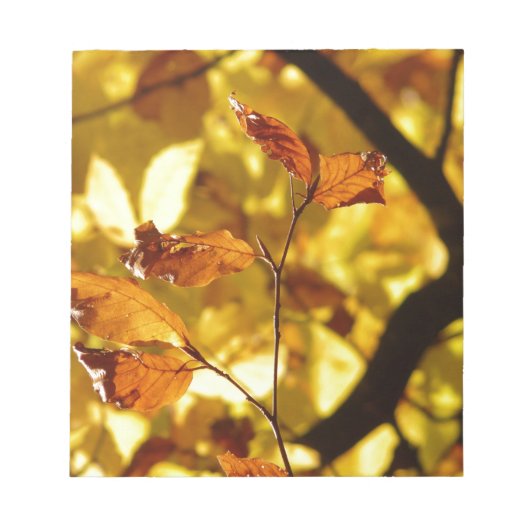 Herbst-Fall-Baum verlässt Jahreszeit-Schicksals-Na Notizblock (Vorderseite)