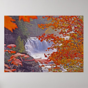 Herbst-Fälle Poster