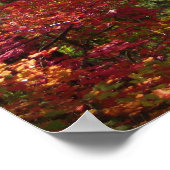 Herbst-Fantasie (15) Poster (Ecke)